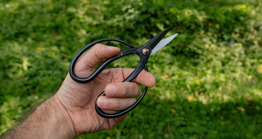 Tsurumaki Bairyu Long Blade Bonsai Okubo Scissors 165 mm