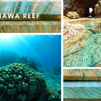 Japanska Drška Okinawa Reef